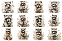 Adorable Raccoon Clipart Bundle 40 PNG Product Image 3