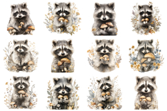Adorable Raccoon Clipart Bundle 40 PNG Product Image 4