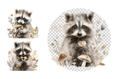 Adorable Raccoon Clipart Bundle 40 PNG Product Image 5