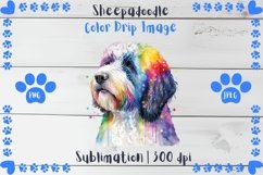 Adorable Sheepadoodle Color Drip - Sublimation - Digital Product Image 1
