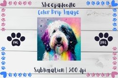 Adorable Sheepadoodle Color Drip - Sublimation - Digital Product Image 1