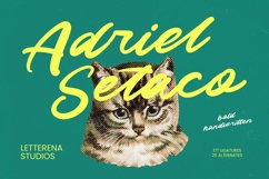 Adriel Setaco - Bold Handwritten Product Image 1