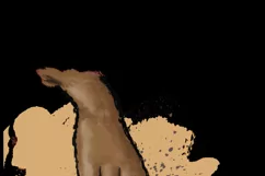 Adult And Child Holding Hands | African American Hands Product Image 4