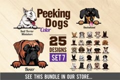 Chihuahua - Peeking Dog Colorful, Pet Portrait SVG Product Image 2