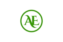 AE Logo Design Product Image 1