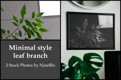 Minimal style leaf branch - 2 Stock Photos Product Image 1