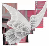 50 FAIRY MAGIC DUST, WINGS TRANSPARENT PNG PHOTOSHOP OVERLAY Product Image 9