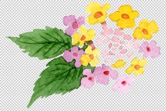 Pink lantana watercolor png Product Image 5