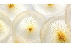 glisten background onion isolated Product Image 1