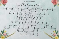 Web Font Faranisa Script Product Image 4