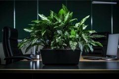 Lush indoor office plant on desk Product Image 1