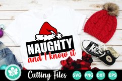 Christmas SVG | Naughty and I Know It Product Image 1