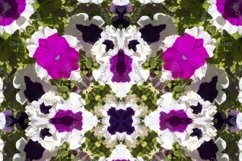 12 abstract Seamless colorful FLOWER patterns pack. Product Image 6