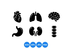 Human Anatomy Organ Vector Icon Product Image 1