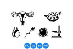 Medical Reproductive System Vector Illustration Product Image 1