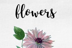 Florals - Vintage Clematis Product Image 9