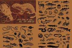 Vintage Animals Vectors Product Image 2