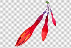 Orange-red Fuchsia watercolor png Product Image 5