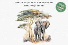 African Baby Elephant Safari Animals Clipart Savanna PNG Image Watercolor  Transparent Print invitation t-shirt designs sublimation kids printable digital watercolor cute African Baby Elephant, Safari Animals clipart, sublimation nursery drawing, Savanna