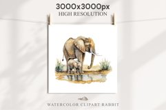 African Baby Elephant Safari Animals Clipart Savanna PNG Image Watercolor  Transparent Print invitation t-shirt designs sublimation kids printable digital watercolor cute African Baby Elephant, Safari Animals clipart, sublimation nursery drawing, Savanna