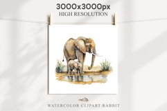 African Baby Elephant Safari Animals Clipart Savanna PNG Image Watercolor  Transparent Print invitation t-shirt designs sublimation kids printable digital watercolor cute African Baby Elephant, Safari Animals clipart, sublimation nursery drawing, Savanna