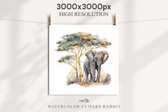 African Baby Elephant Safari Animals Clipart Savanna PNG Image Watercolor  Transparent Print invitation t-shirt designs sublimation kids printable digital watercolor cute African Baby Elephant, Safari Animals clipart, sublimation nursery drawing, Savanna