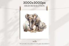 African Baby Elephant Safari Animals Clipart Savanna PNG Image Watercolor  Transparent Print invitation t-shirt designs sublimation kids printable digital watercolor cute African Baby Elephant, Safari Animals clipart, sublimation nursery drawing, Savanna