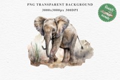 African Baby Elephant Safari Animals Clipart Savanna PNG Image Watercolor  Transparent Print invitation t-shirt designs sublimation kids printable digital watercolor cute African Baby Elephant, Safari Animals clipart, sublimation nursery drawing, Savanna