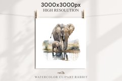 African Baby Elephant Safari Animals Clipart Savanna PNG Image Watercolor  Transparent Print invitation t-shirt designs sublimation kids printable digital watercolor cute African Baby Elephant, Safari Animals clipart, sublimation nursery drawing, Savanna