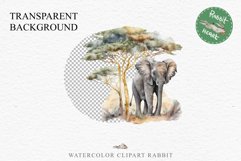 African Baby Elephant Safari Animals Clipart Savanna PNG Image Watercolor  Transparent Print invitation t-shirt designs sublimation kids printable digital watercolor cute African Baby Elephant, Safari Animals clipart, sublimation nursery drawing, Savanna