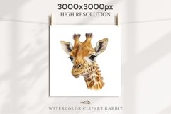 African Baby Giraffe Safari Animals Clipart Savanna PNG Art Image Watercolor  Transparent Print invitation t-shirt designs sublimation kids printable digital watercolor cute African Baby Giraffe, Safari Animals clipart, sublimation nursery drawing Savanna