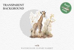 African Baby Giraffe Safari Animals Clipart Savanna PNG Art Image Watercolor  Transparent Print invitation t-shirt designs sublimation kids printable digital watercolor cute African Baby Giraffe, Safari Animals clipart, sublimation nursery drawing Savanna