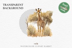 African Baby Giraffe Safari Animals Clipart Savanna PNG Art Image Watercolor  Transparent Print invitation t-shirt designs sublimation kids printable digital watercolor cute African Baby Giraffe, Safari Animals clipart, sublimation nursery drawing Savanna