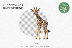 African Baby Giraffe Safari Animals Clipart Savanna PNG Art Image Watercolor  Transparent Print invitation t-shirt designs sublimation kids printable digital watercolor cute African Baby Giraffe, Safari Animals clipart, sublimation nursery drawing Savanna