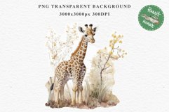 African Baby Giraffe Safari Animals Clipart Savanna PNG Art Image Watercolor  Transparent Print invitation t-shirt designs sublimation kids printable digital watercolor cute African Baby Giraffe, Safari Animals clipart, sublimation nursery drawing Savanna