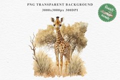 African Baby Giraffe Safari Animals Clipart Savanna PNG Art Image Watercolor  Transparent Print invitation t-shirt designs sublimation kids printable digital watercolor cute African Baby Giraffe, Safari Animals clipart, sublimation nursery drawing Savanna