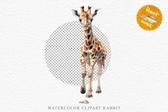 African Baby Giraffe Safari Animals Clipart Savanna PNG Art Image Watercolor  Transparent Print invitation t-shirt designs sublimation kids printable digital watercolor cute African Baby Giraffe, Safari Animals clipart, sublimation nursery drawing Savanna
