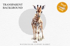 African Baby Giraffe Safari Animals Clipart Savanna PNG Art Image Watercolor  Transparent Print invitation t-shirt designs sublimation kids printable digital watercolor cute African Baby Giraffe, Safari Animals clipart, sublimation nursery drawing Savanna