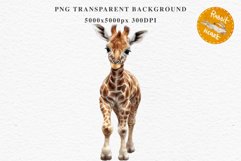 African Baby Giraffe Safari Animals Clipart Savanna PNG Art Image Watercolor  Transparent Print invitation t-shirt designs sublimation kids printable digital watercolor cute African Baby Giraffe, Safari Animals clipart, sublimation nursery drawing Savanna