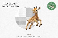 African Baby Giraffe Safari Animals Clipart Savanna PNG Art Image Watercolor  Transparent Print invitation t-shirt designs sublimation kids printable digital watercolor cute African Baby Giraffe, Safari Animals clipart, sublimation nursery drawing Savanna