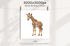 African Baby Giraffe Safari Animals Clipart Savanna PNG Art Image Watercolor  Transparent Print invitation t-shirt designs sublimation kids printable digital watercolor cute African Baby Giraffe, Safari Animals clipart, sublimation nursery drawing Savanna