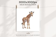 African Baby Giraffe Safari Animals Clipart Savanna PNG Art Image Watercolor  Transparent Print invitation t-shirt designs sublimation kids printable digital watercolor cute African Baby Giraffe, Safari Animals clipart, sublimation nursery drawing Savanna