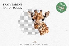 African Baby Giraffe Safari Animals Clipart Savanna PNG Art Image Watercolor  Transparent Print invitation t-shirt designs sublimation kids printable digital watercolor cute African Baby Giraffe, Safari Animals clipart, sublimation nursery drawing Savanna