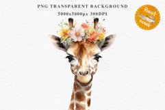 African Baby Giraffe Safari Animals Clipart Savanna PNG Art Image Watercolor  Transparent Print invitation t-shirt designs sublimation kids printable digital watercolor cute African Baby Giraffe, Safari Animals clipart, sublimation nursery drawing Savanna