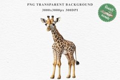 African Baby Giraffe Safari Animals Clipart Savanna PNG Art Image Watercolor  Transparent Print invitation t-shirt designs sublimation kids printable digital watercolor cute African Baby Giraffe, Safari Animals clipart, sublimation nursery drawing Savanna