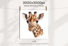 African Baby Giraffe Safari Animals Clipart Savanna PNG Art Image Watercolor  Transparent Print invitation t-shirt designs sublimation kids printable digital watercolor cute African Baby Giraffe, Safari Animals clipart, sublimation nursery drawing Savanna