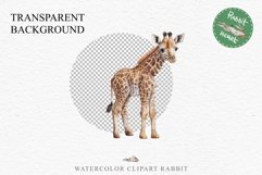 African Baby Giraffe Safari Animals Clipart Savanna PNG Art Image Watercolor  Transparent Print invitation t-shirt designs sublimation kids printable digital watercolor cute African Baby Giraffe, Safari Animals clipart, sublimation nursery drawing Savanna