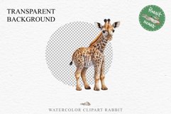 African Baby Giraffe Safari Animals Clipart Savanna PNG Art Image Watercolor  Transparent Print invitation t-shirt designs sublimation kids printable digital watercolor cute African Baby Giraffe, Safari Animals clipart, sublimation nursery drawing Savanna