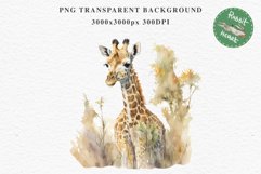 African Baby Giraffe Safari Animals Clipart Savanna PNG Art Image Watercolor  Transparent Print invitation t-shirt designs sublimation kids printable digital watercolor cute African Baby Giraffe, Safari Animals clipart, sublimation nursery drawing Savanna