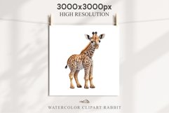 African Baby Giraffe Safari Animals Clipart Savanna PNG Art Image Watercolor  Transparent Print invitation t-shirt designs sublimation kids printable digital watercolor cute African Baby Giraffe, Safari Animals clipart, sublimation nursery drawing Savanna